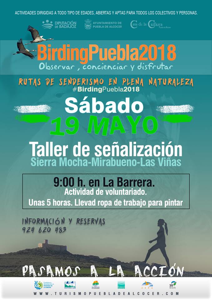 Birding Puebla 2018