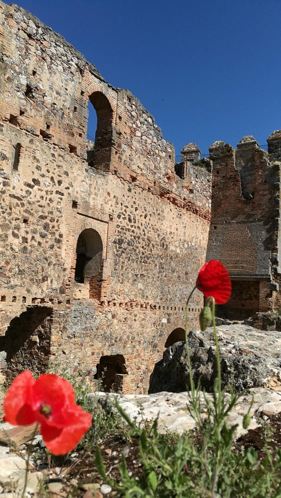 Interior Castillo con chimenea